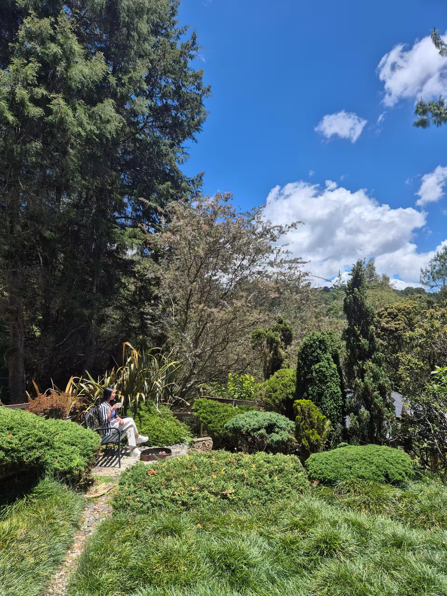 Casa Ilusión desde arriba: vista del gazebo, la casa principal y los senderos en el bosque